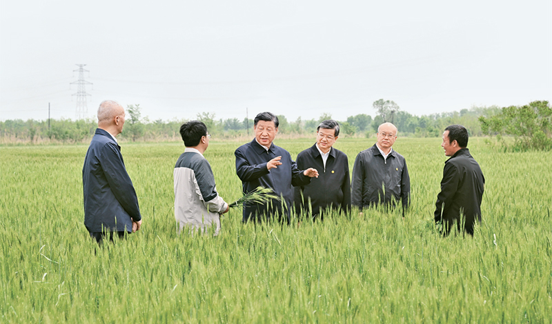 2023年5月11日至12日,中共中央总书记、国家主席、中央军委主席习近平在河北考察,并主持召开深入推进京津冀协同发展座谈会。这是11日上午,习近平在沧州市黄骅市旧城镇仙庄片区旱碱地麦田考察时,同种植户、农技专家亲切交流。 新华社记者 李学仁/摄 2023年5月11日至12日,中共中央总书记、国家主席、中央军委主席习近平在河北考察,并主持召开深入推进京津冀协同发展座谈会。这是11日上午,习近平在沧州市黄骅市旧城镇仙庄片区旱碱地麦田考察时,同种植户、农技专家亲切交流。 新华社记者 李学仁/摄